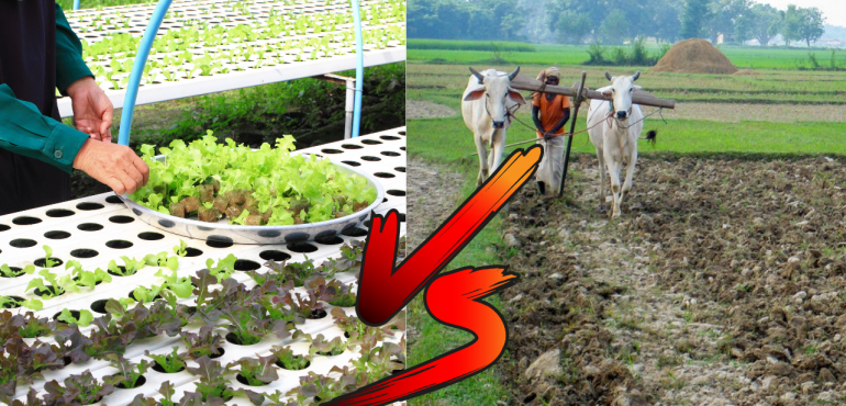 Hydroponics vs traditional farming.