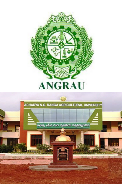 Information flow in Andhra Pradesh state agricultural university (ANGRAU) |  Download Scientific Diagram